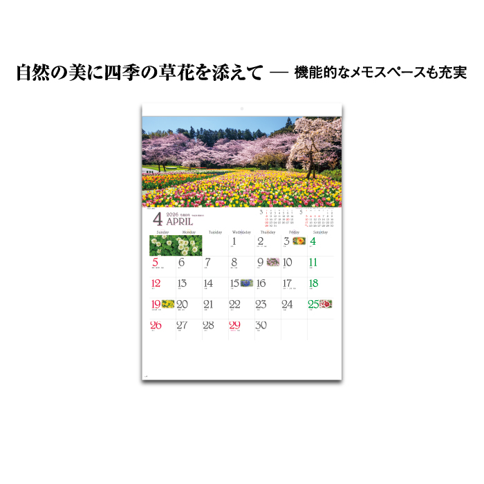 カレンダー 2026年 壁掛け 四季彩花 SG290 2026 おしゃれ 風景 きれい