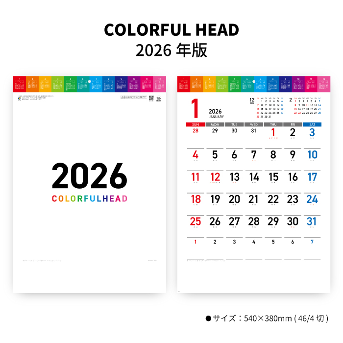 カレンダー 2026年 壁掛け COLORFUL HEAD SG2320 2026 シンプル