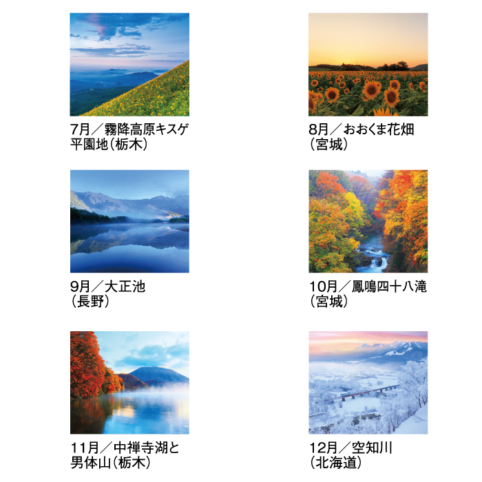 カレンダー 2026年 壁掛け 四季十二彩 SG456 2026年版 おしゃれ 日本