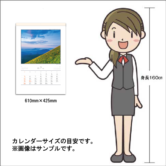 カレンダー 2026年 壁掛け 四季十二彩 SG456 2026年版 おしゃれ 日本