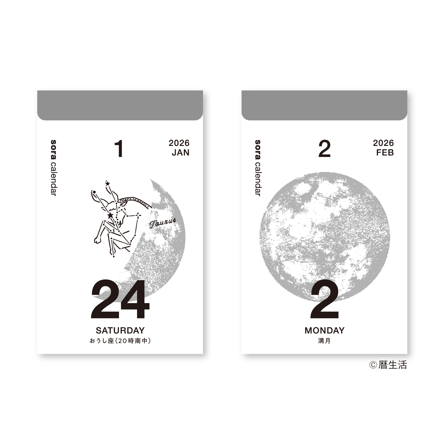 新日本カレンダー カレンダー 2026年 宙の日めくりカレンダー（小