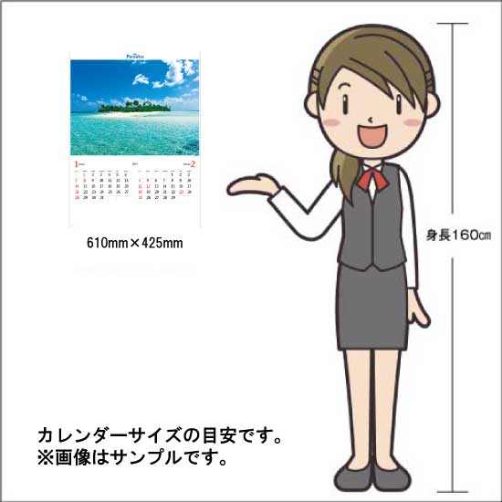 カレンダー 2024年 壁掛け パラダイス NK113 2024年版 カレンダー 壁掛け A/2切 かわいい おしゃれ カラフル パラダイス 南国 海 ビーチ 写真 237998｜jingukan｜05