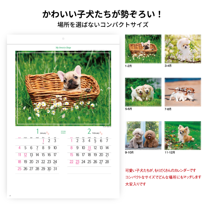 カレンダー 2026年 壁掛け マイスウィーティードッグ SG162 2026 犬