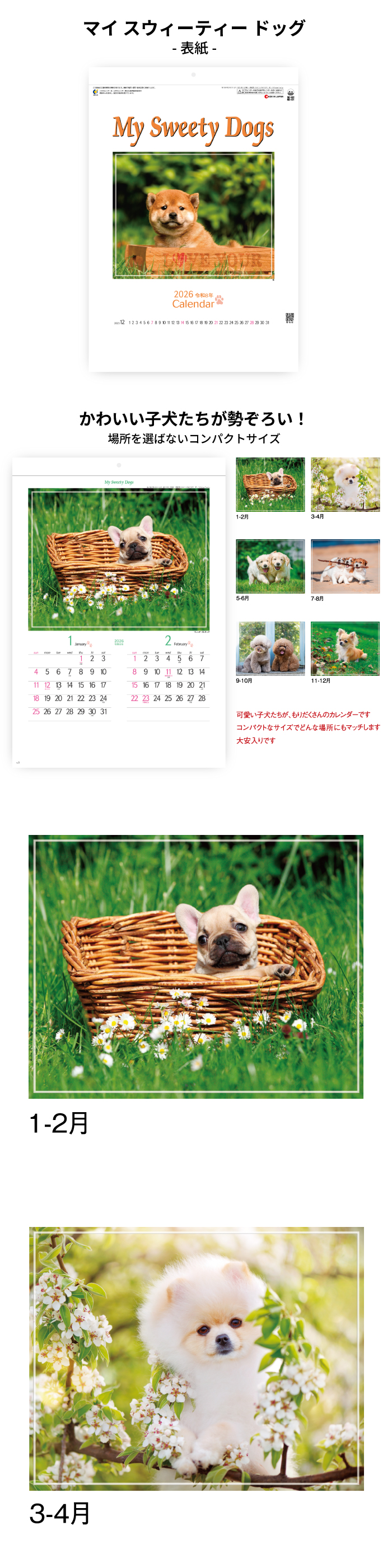 カレンダー 2026年 壁掛け マイスウィーティードッグ SG162 2026 犬
