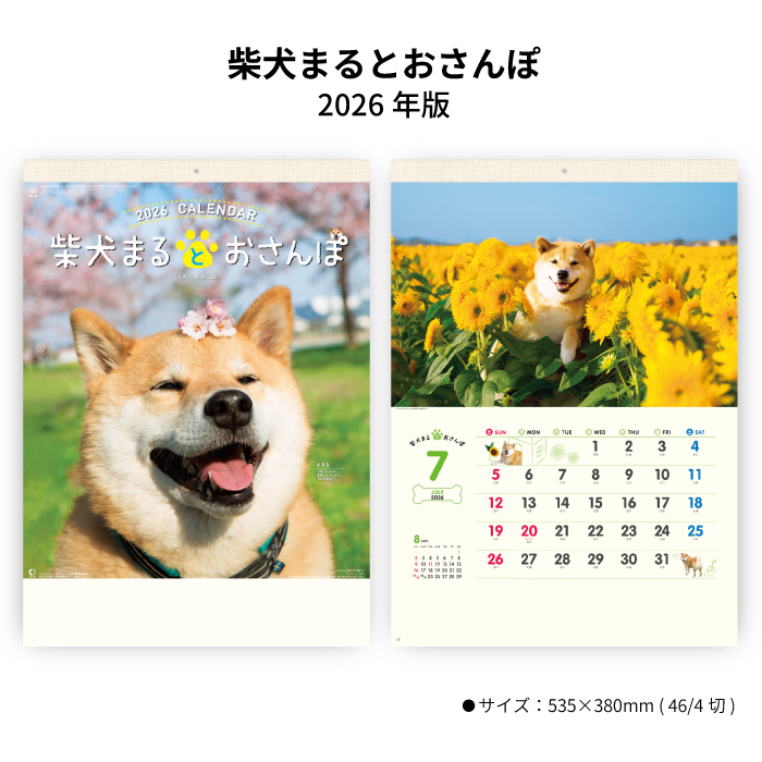 新日本カレンダー カレンダー 2026年 壁掛け 柴犬まるとおさんぽ