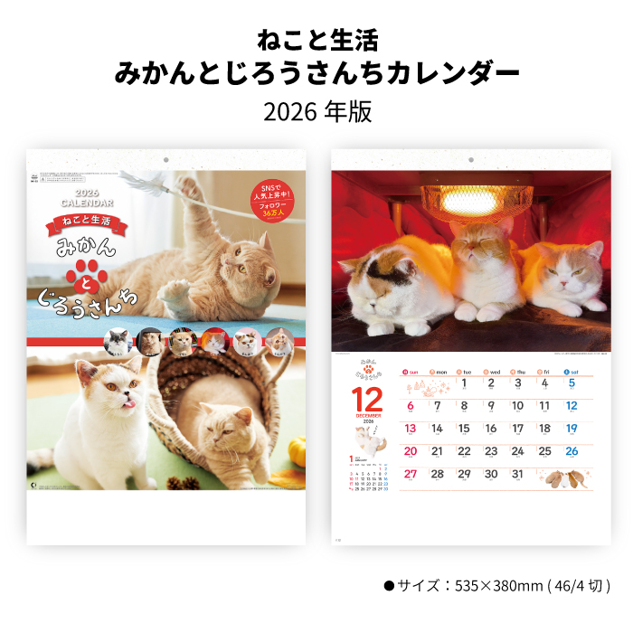 SnowMan　ねこ☆様　☆専用出品☆ チルぬい衣装✨ 「Jack In The Box」のさっくん🩷😻 #SnowMan
