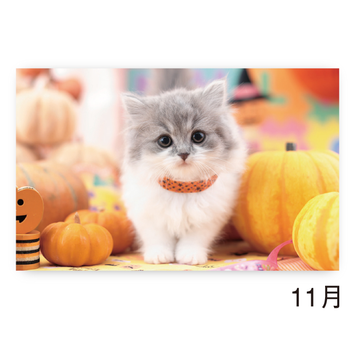 新日本カレンダー カレンダー 2026年 壁掛け サンキュー・キャット