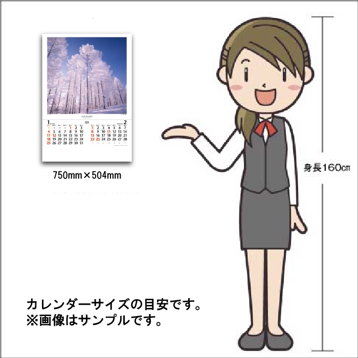 quarant'otto 2026 壁掛けカレンダー&卓上カレンダー＆ホルダー 2026年壁掛け・シャチカレンダー ORCA COLLECTION | クジラの雑貨屋さん
