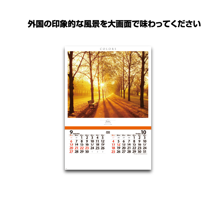 新日本カレンダー カレンダー 2026年 壁掛け (フィルム)カラーズ NK415