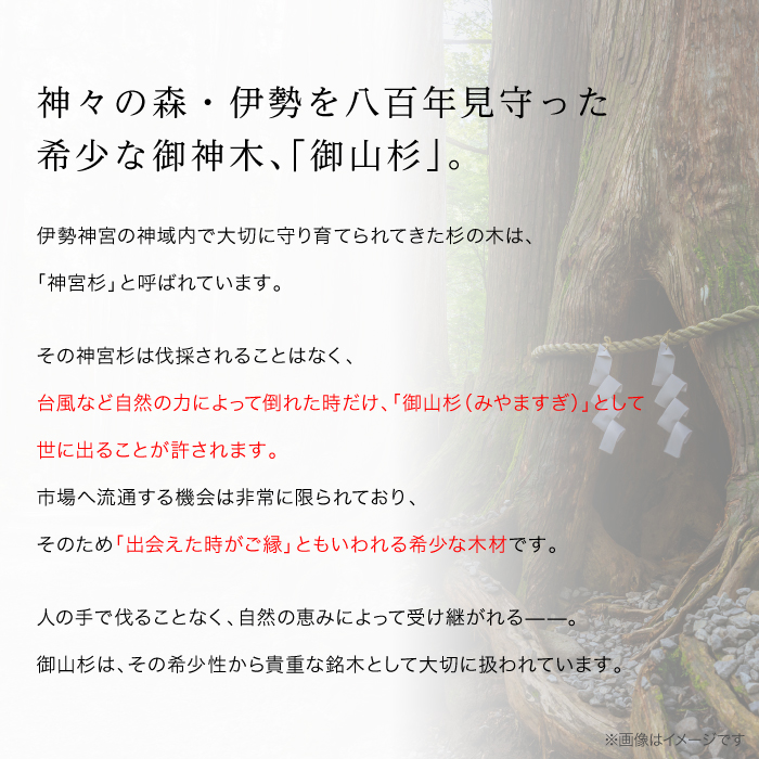 伊勢御神木ブレスレット 魔除 御山杉×天眼石 伊勢杉 アイアゲート 魔