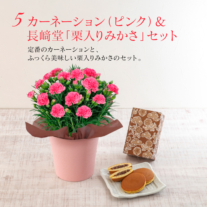 送料無料 母の日 フラワーギフト 2026 カーネーション 日比谷花壇