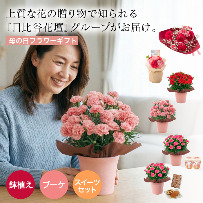 送料無料 母の日 フラワーギフト 2026 カーネーション 日比谷花壇