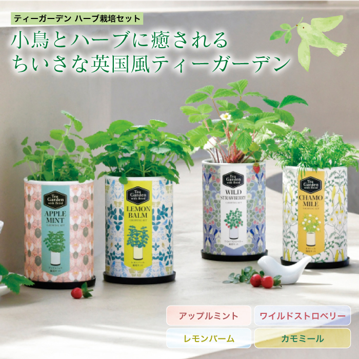 育てる水草 S GD-812 水草 栽培 キット かわいい アクアリウム 育てる
