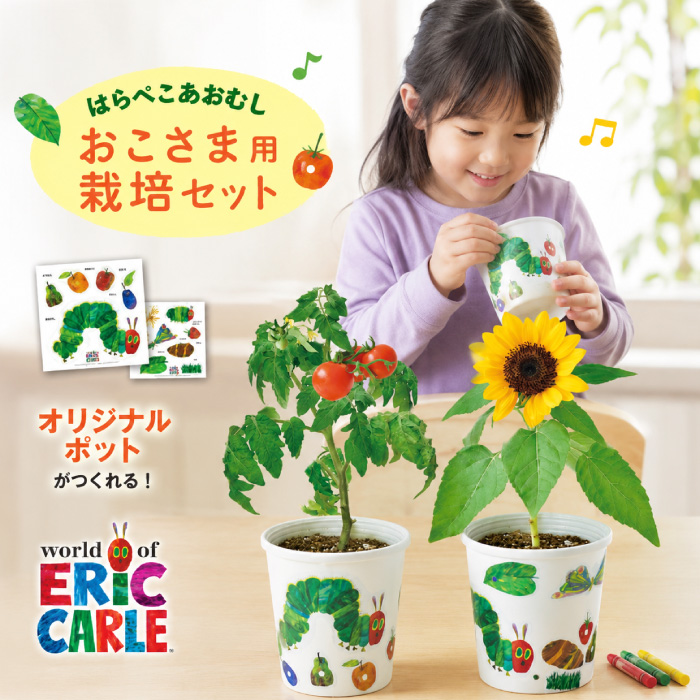 はらぺこあおむし 栽培セット 栽培キット おしゃれ かわいい 子供