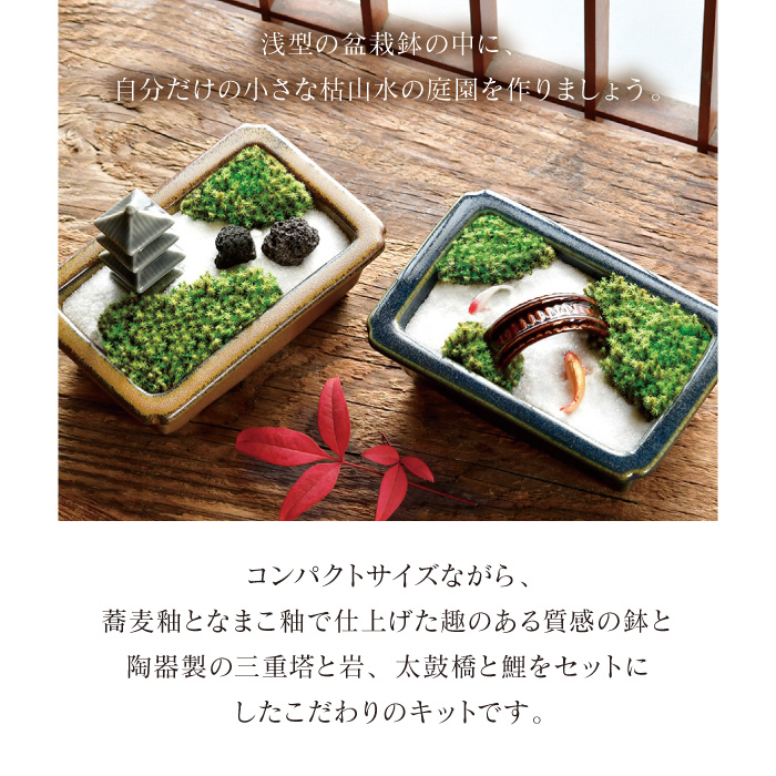 禅庭 zen garden kit 苔栽培 スナゴケ 枯山水 キット 箱庭 テラリウム