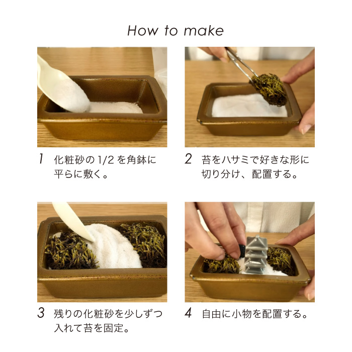 sunface master　　ホソバオキナゴケ1トレーと苔各種3パック ホソバオキナゴケ中トレー(庭園用)(340×510mm) | 苔の販売専門店モス