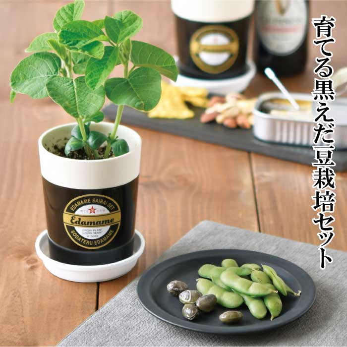 eXrXi　枝豆A品5キロ 楽天市場】えだまめ 5キロの通販