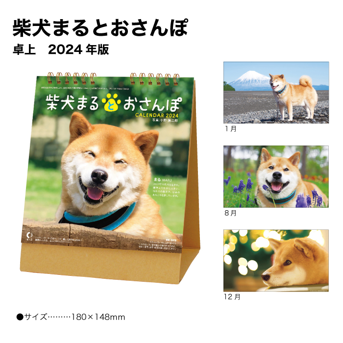 送料無料 カレンダー 2024年 卓上 柴犬まるとおさんぽ NK529 デスク