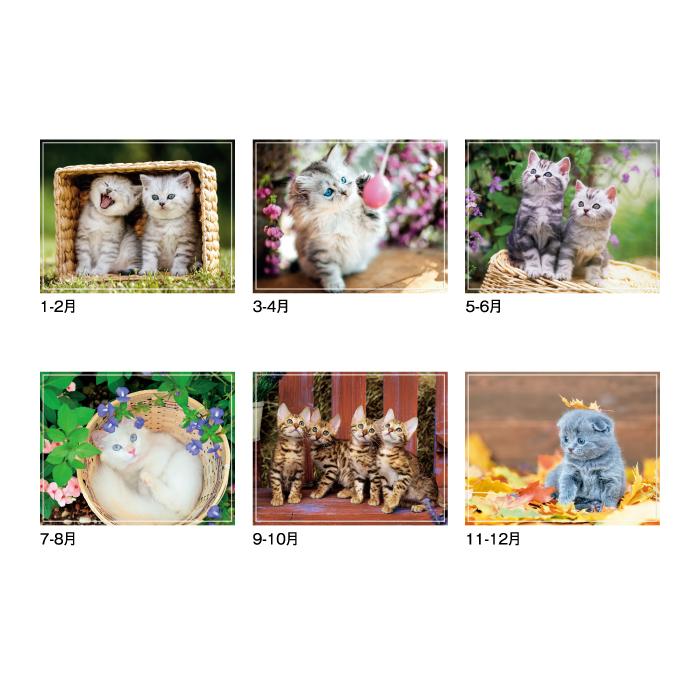 【50％OFF】カレンダー 2024年 壁掛け マイスウィーティーキャット SG163 2024年版 カレンダー 可愛い 使いやすい 猫 子猫 にゃんこ 写真 237894｜jingukan｜04