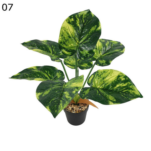 モンステラ・ポトス Non Green Amazon.co.jp: 山善(YAMAZEN) フェイクグリーン 高さ85㎝ 水やり