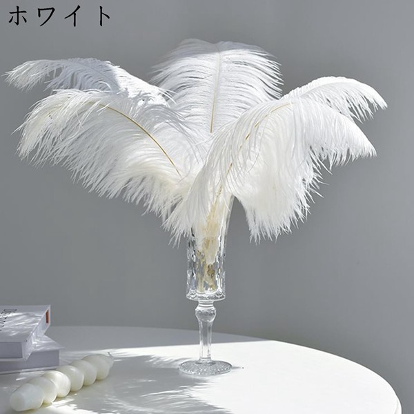 フェザーシャワー（花、ガーデニング）のおすすめ人気商品一覧 通販