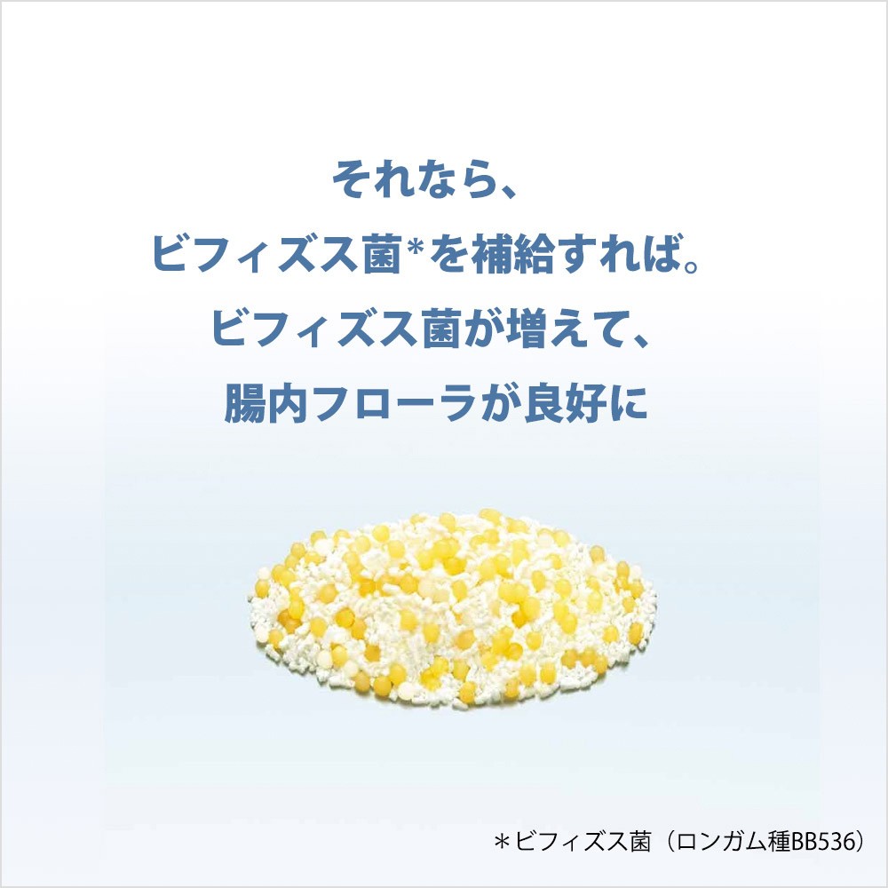 森下仁丹公式 ヘルスエイド ビフィーナｒ レギュラー ６０日分 ６０袋 機能性表示食品 乳酸菌 森下仁丹オンラインショップ 通販 Paypayモール