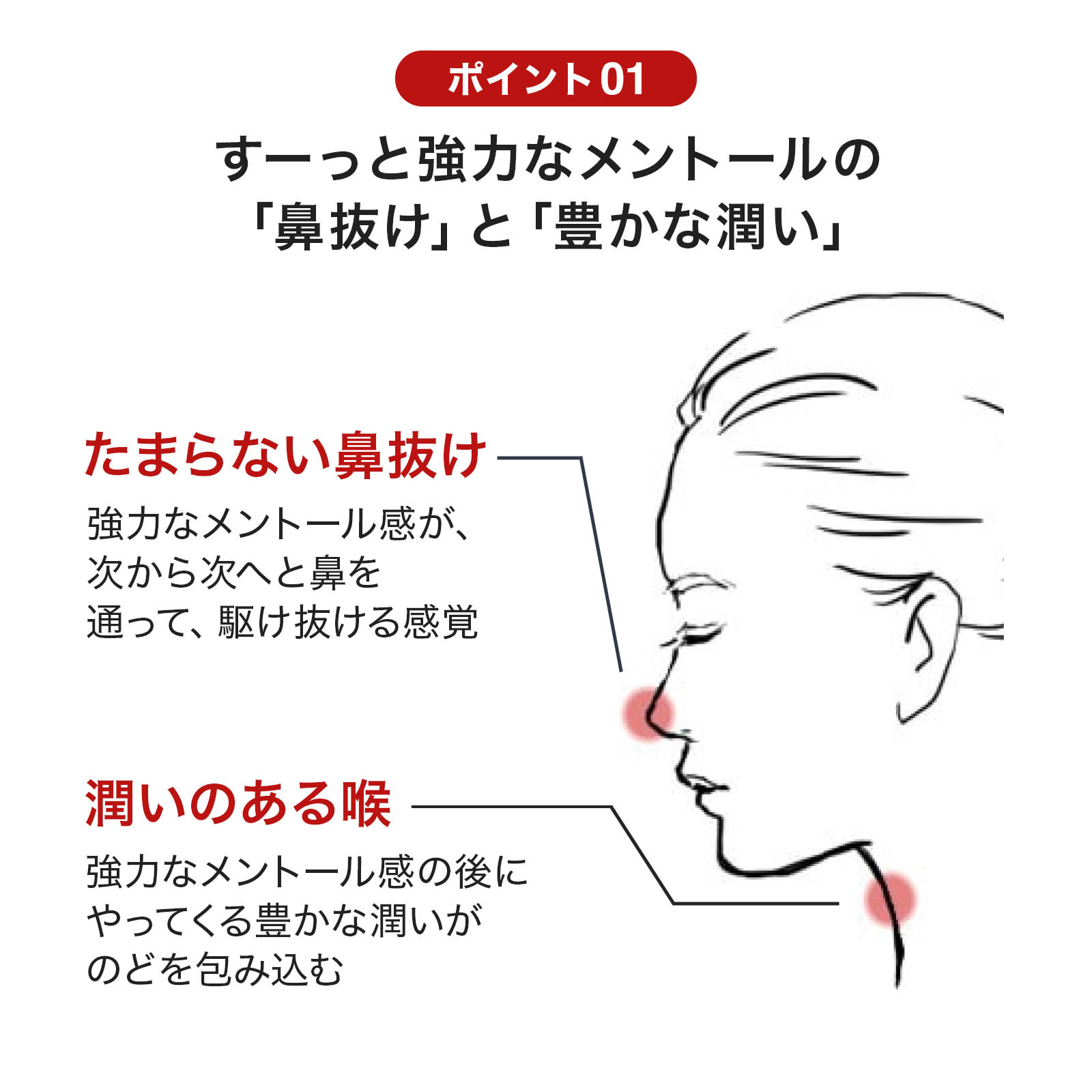 ポイント01　ずーっと強力なメントールの「鼻抜け」と「豊かな潤い」