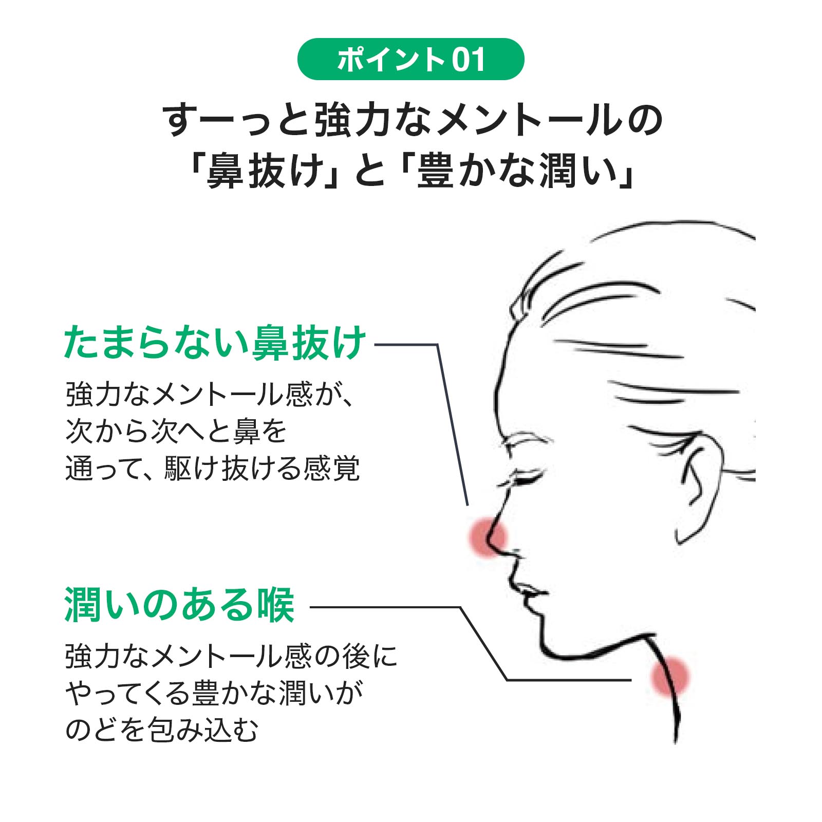 ポイント01　ずーっと強力なメントールの「鼻抜け」と「豊かな潤い」