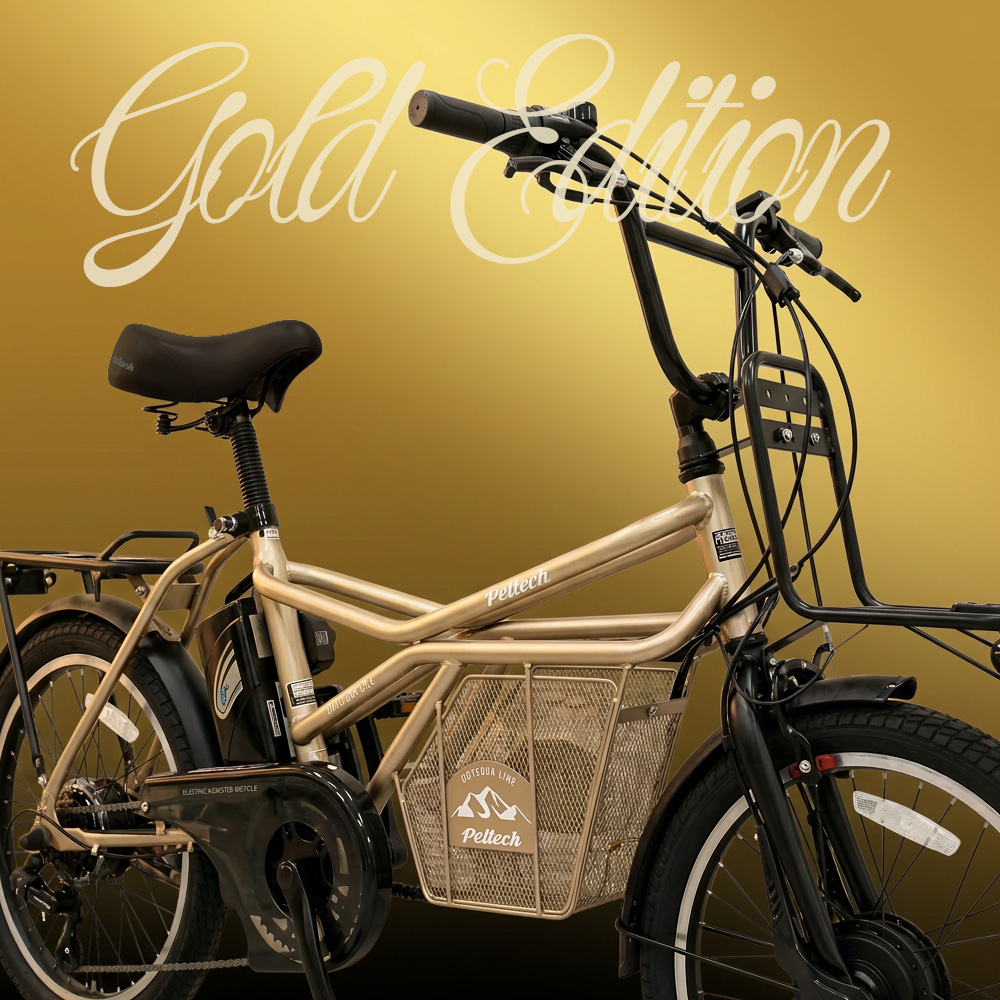 PELTECH（ペルテック） 限定生産 PELTECH×EBISU 別注モデル 電動自転車