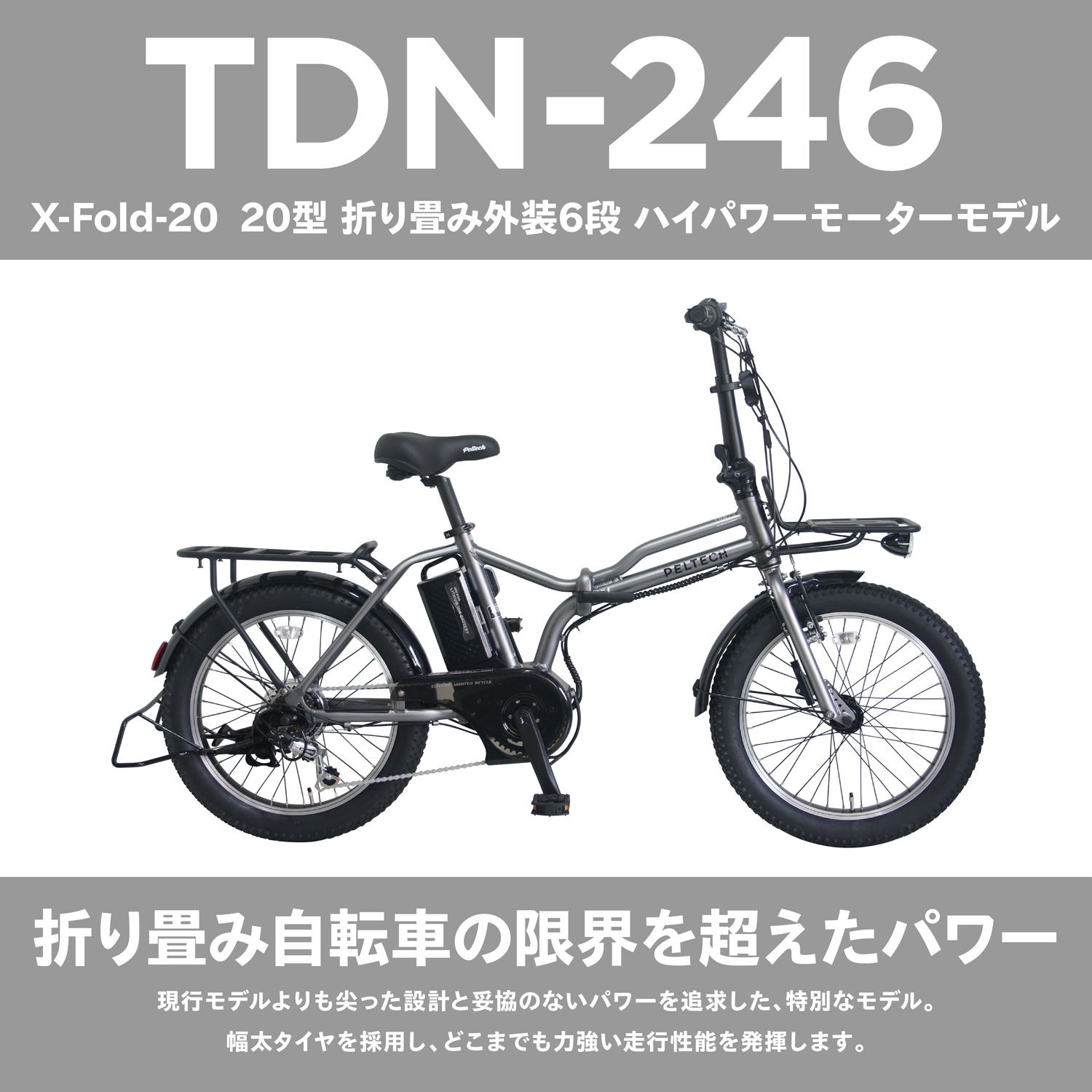 PELTECH（ペルテック） X-Adventure ハイパワーモデル TDN-246L 電動