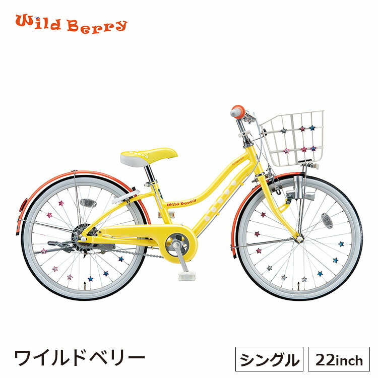 ワイルドベリー WB201 子供用自転車 入学 22インチ 変速なし 小学生 男の子 女の子 ブリヂストン BRIDGESTONE :wb201:サイクルショップ  自転車BOX - 通販 - Yahoo!ショッピング