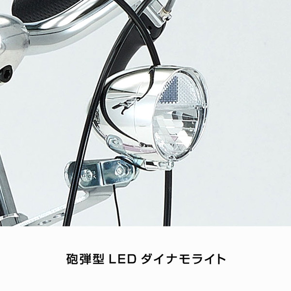 ((ポイント5％_4/22-26))自転車 子供用自転車 ダイワサイクル フィッツプラスジュニア FTP-J20 20インチ ((店舗受取専用商品))の画像