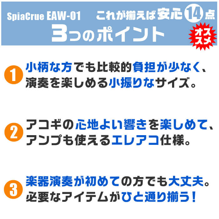 ギター 初心者セット おすすめポイント