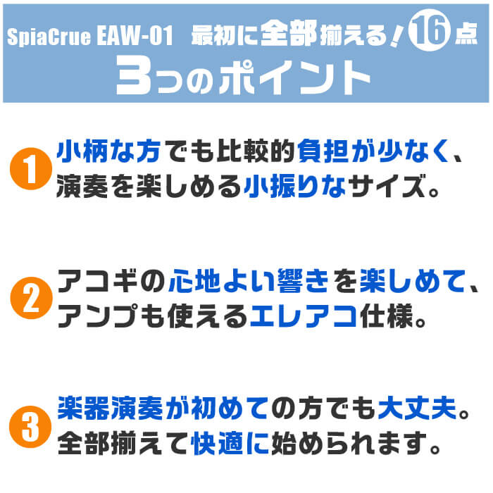 ギター 初心者セット おすすめポイント