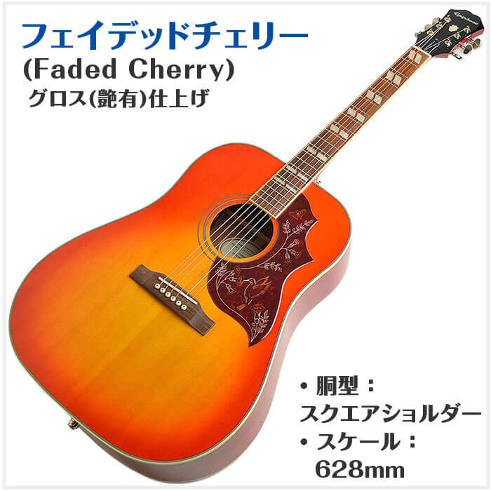 アコースティックギター 初心者セット 15点 Epiphone Hummingbird