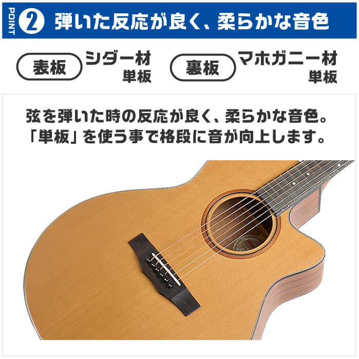 アコースティックギター Morris S-031 (モーリス ギター) : ジャイブ