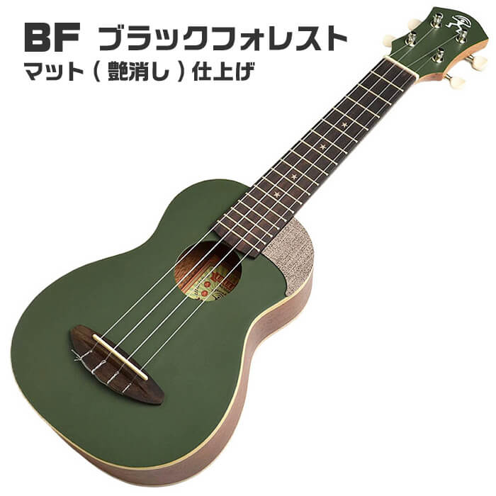 ウクレレ ソプラノサイズ aNueNue aNN-US10 BF アヌエヌエ ブラック