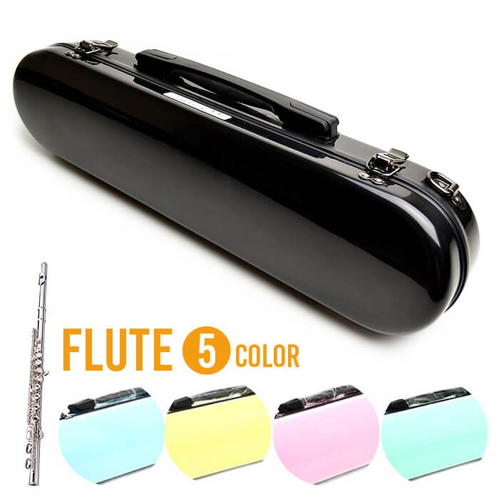 フルート ケース CCシャイニーケース2 Flute Case グラスファイバー :oth-ccfl:ジャイブミュージック - 通販 -  Yahoo!ショッピング