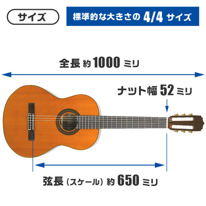 ARIA（アリア） クラシックギター ARIA A-20 (アリア シダー材 単板