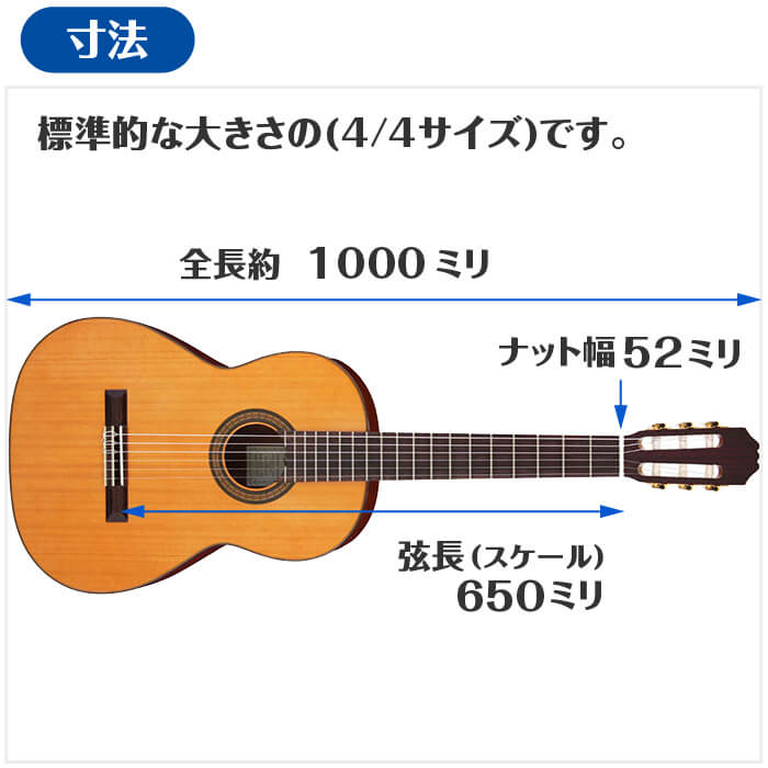 ARIA ACE-5S 640 クラシックギター 本場スペイン製 640mm 松単板