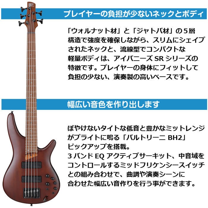 年末年始限定値下げ 美品IBANEZ SR505 BM アイバニーズ 5弦ベース