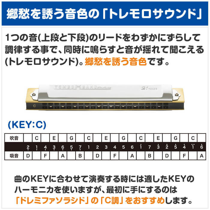 TOMBO（トンボ） ハーモニカ No.1521 C 特製トンボバンド 21穴 (Tombo