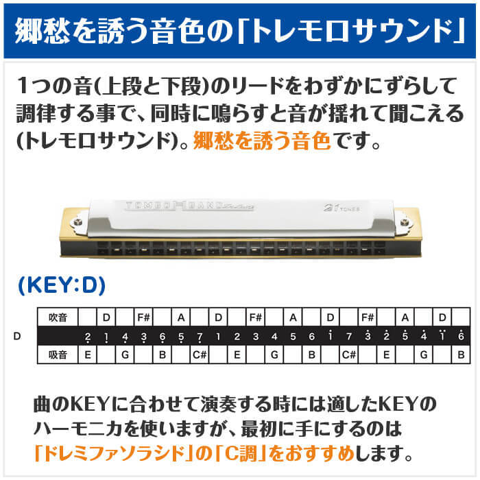 TOMBO（トンボ） ハーモニカ No.1521 D 特製トンボバンド 21穴 (Tombo