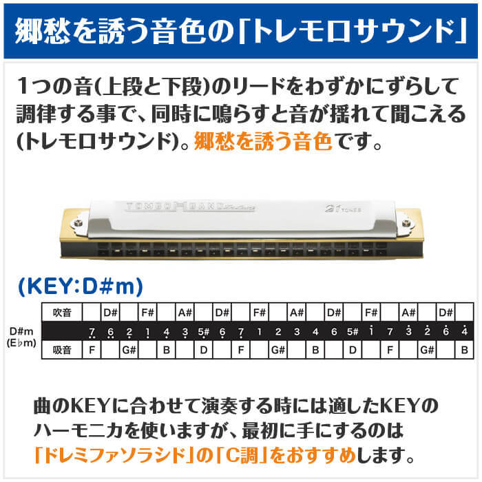TOMBO（トンボ） ハーモニカ No.1521 D#m 特製トンボバンド 21穴