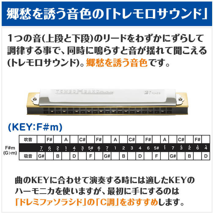 TOMBO（楽器） ハーモニカ トンボ No.1521 F#m 特製トンボバンド