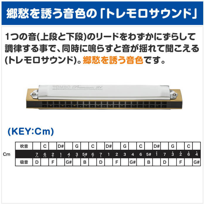 TOMBO（トンボ） ハーモニカ No.3521 Cm トンボプレミアム 21穴 (TOMBO