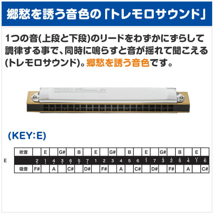 TOMBO（トンボ） ハーモニカ No.3521 E トンボプレミアム 21穴 (TOMBO