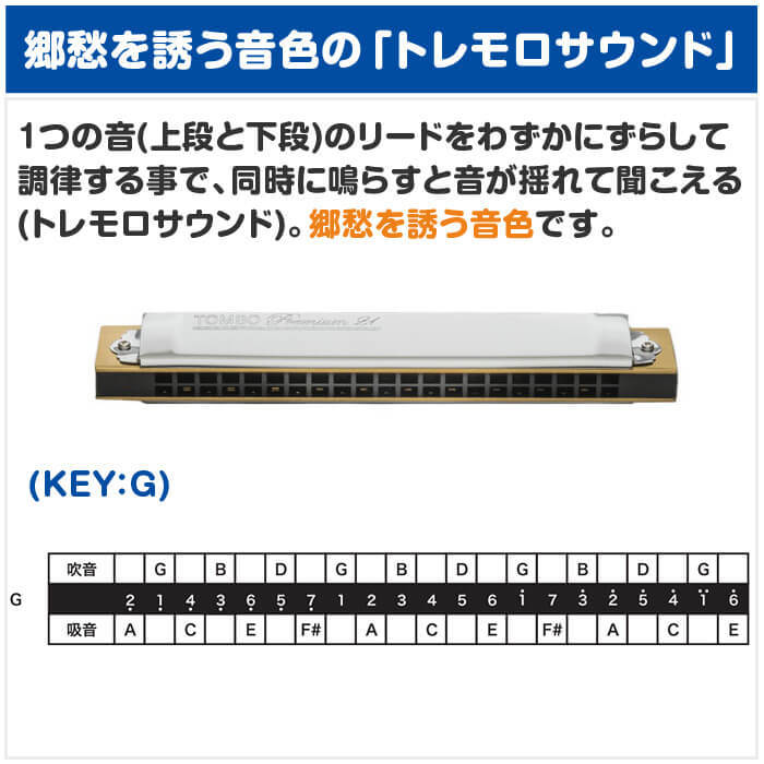 TOMBO（トンボ） ハーモニカ No.3521 G トンボプレミアム 21穴 (TOMBO