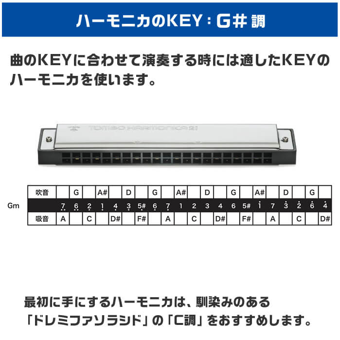 TOMBO（トンボ） ハーモニカ No.3121 Gm トンボバンド 21穴 (TOMBO