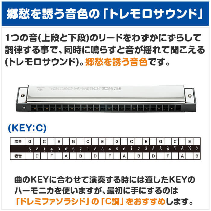 ハーモニカ トンボ No.3124 C トンボバンド 24穴 (TOMBO 複音ハーモニカ 長調 C調)